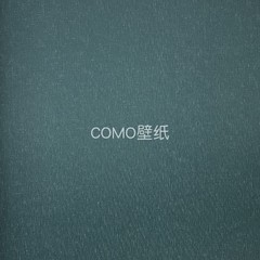 艾尔莎 KINSEL TIME无缝墙布AS77-41-42-43-44-45-46-47-48-49-50