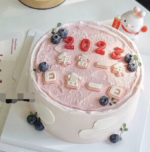 新年蛋糕烘焙装饰 网红日富一日硅胶模具 日复一日巧克力翻糖模具