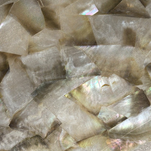 黑蝶贝黄蝶贝贝壳螺钿片 灯饰乐器首饰工艺品家具木皮装饰画雕花