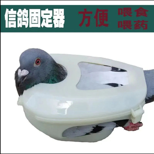 鸽子固定器信鸽固定器赛鸽固定器鸽具打针喂药固定架轻松戴脚环