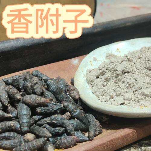 香鼻子香附子已过100目筛
