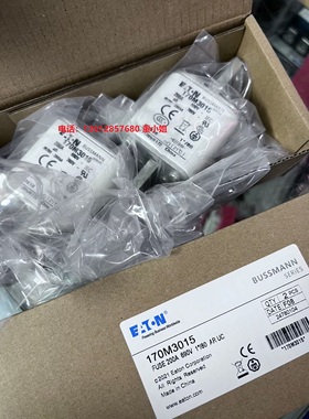 170M3008 170M3009 170M3010 170M3011 170M3012熔断器保险管全新