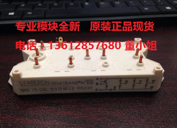 SKD75GAL123D16L2 SKD100GAL123D16L2西门康模块全新原装现货