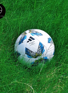 Adidas阿迪达斯阿根廷130周年高端FIFA典藏版比赛足球IA0995