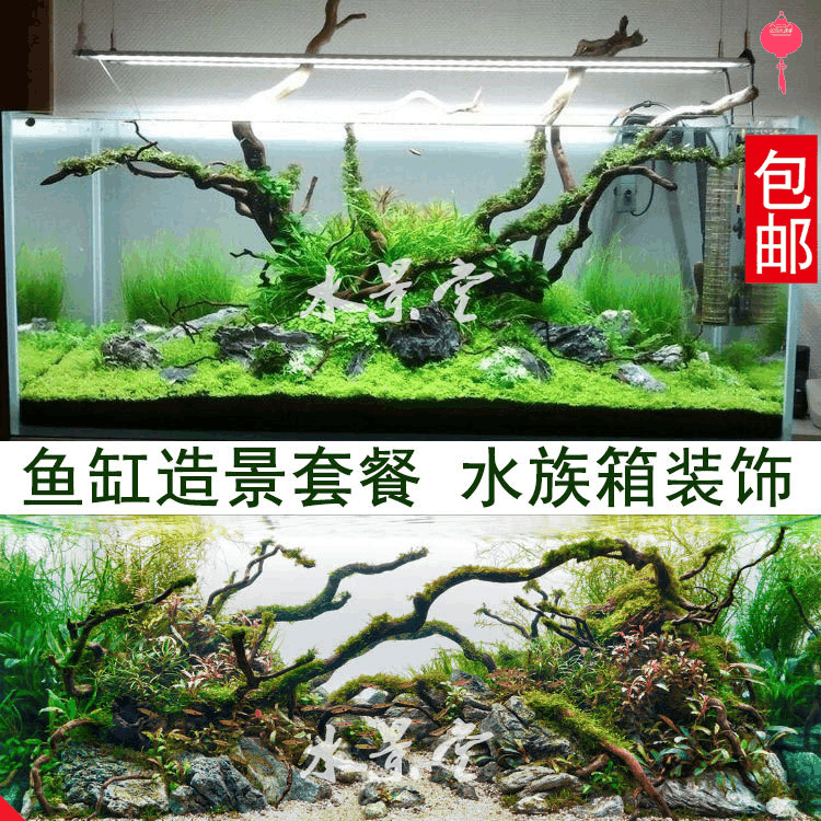 杜鹃根造景套餐 水草缸装饰桥底沙石鱼缸水族箱造鱼缸水族箱