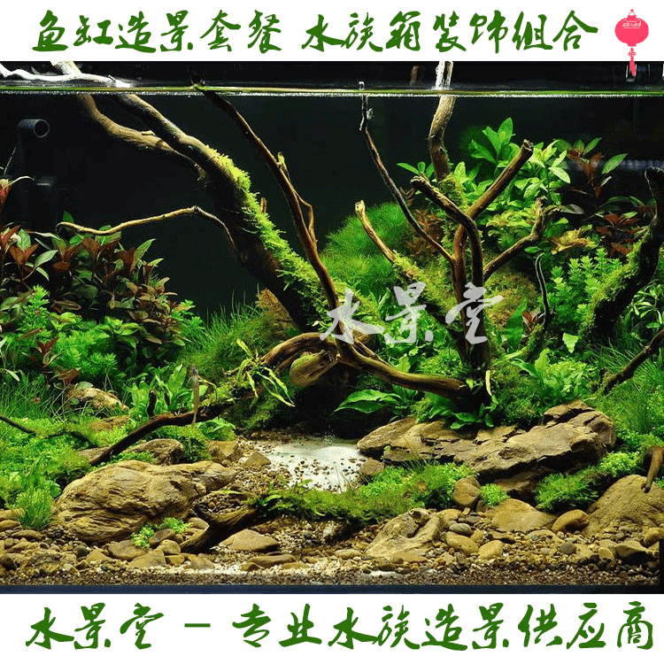 杜鹃根造景套餐 水草缸装饰石山青龙石鱼缸造景套鱼缸水族箱