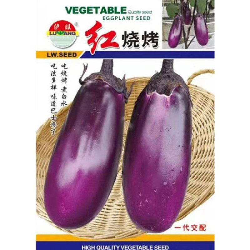泸旺红烧烤茄子种子田园种蔬菜籽