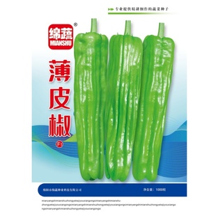 薄皮椒辣椒种子早熟薄壳皱皮辣椒种籽大果青椒菜椒春季田园蔬菜孑