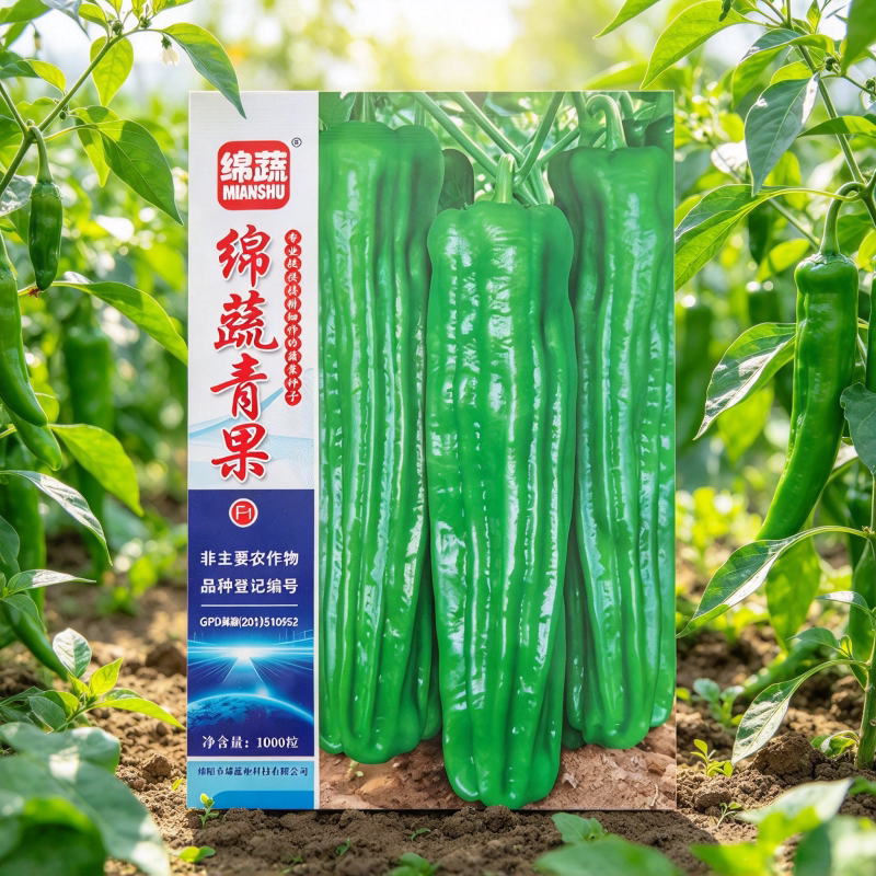 绵蔬大青椒种子牛角椒菜青椒种籽