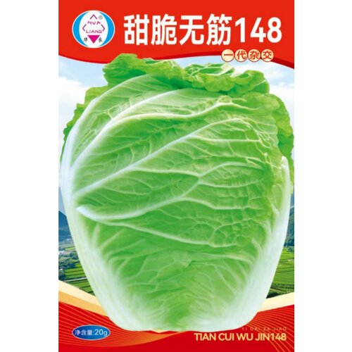 山东大白菜种子90天甜脆无筋包心