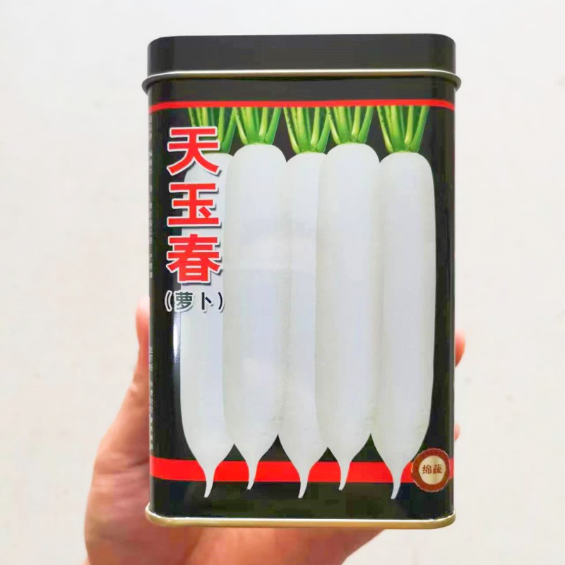 长白萝卜种子春秋季耐抽苔蔬菜籽