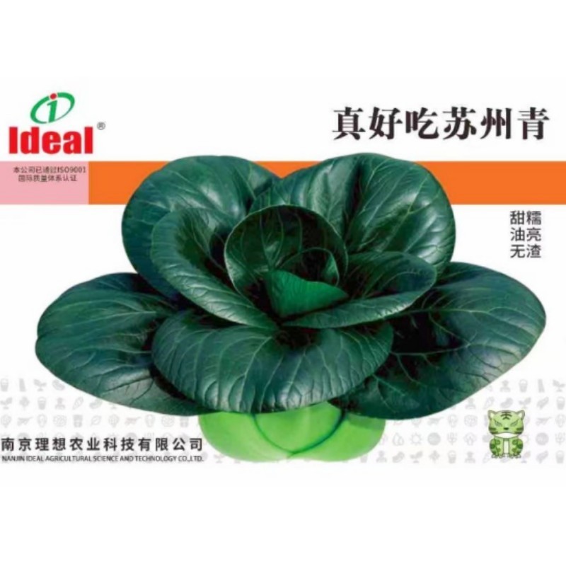 理想苏州青菜种子耐寒小白菜种籽