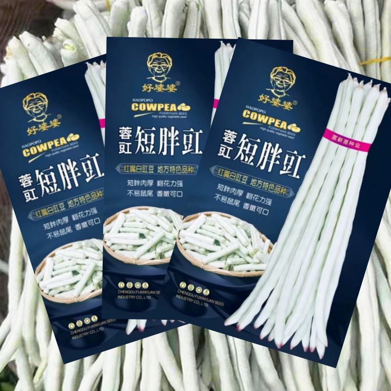 红嘴白胖豇豆种子短胖肉厚白豆角种籽地方特色四川春季田园蔬菜孑