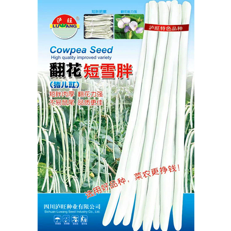 翻花短雪胖猪儿豇豆种子白露豇豆角种籽四川春夏季耐热田园蔬菜孑