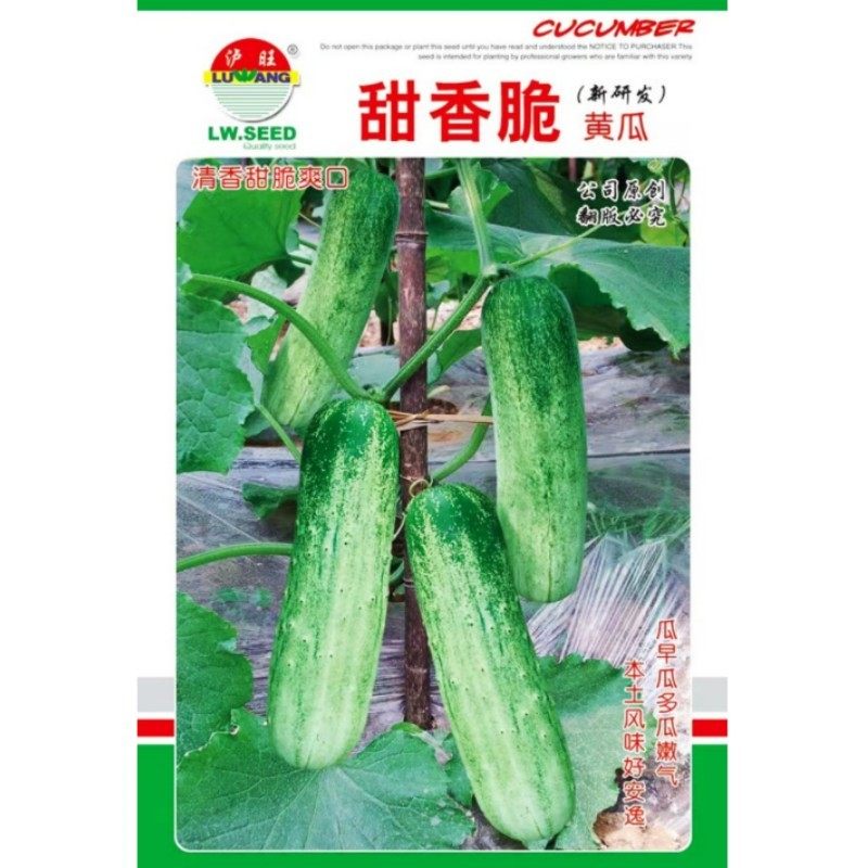 甜香脆黄瓜种子本土风味黄瓜种籽本地黄瓜四川春季农家田园蔬菜孑