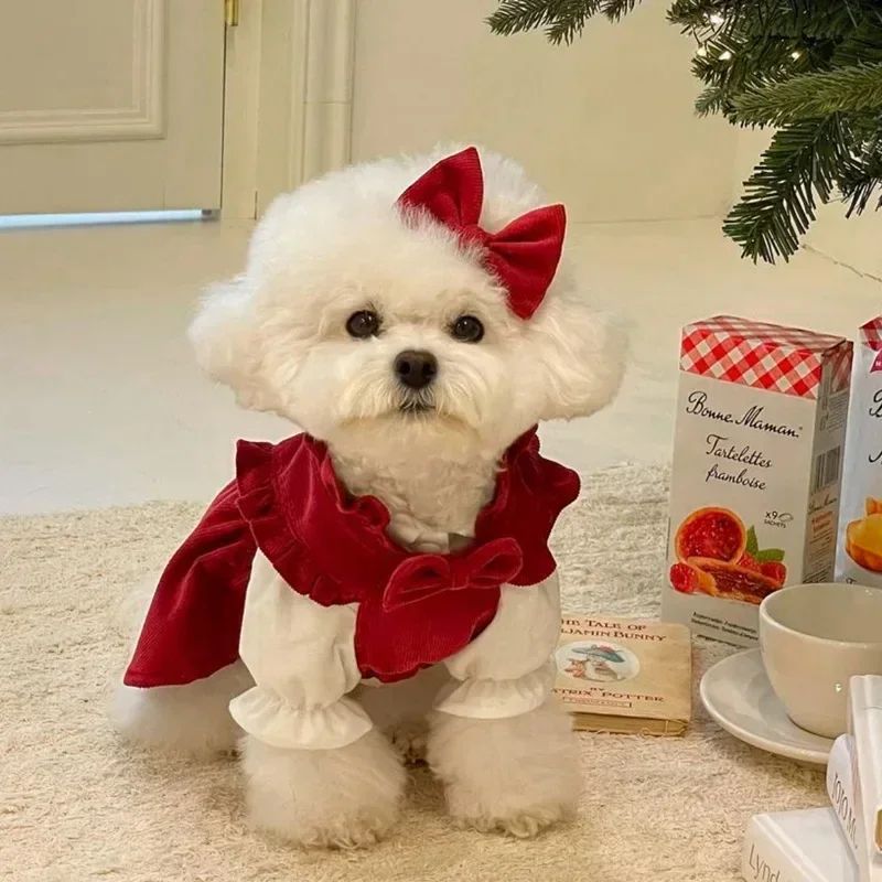 Puppy Bow Knot Dress Set Winter Warm Dog Clothes Pet Christm