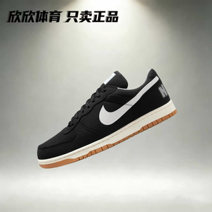 Nike 耐克BIG LOW LUX男女轻便透气运动休闲板鞋训练鞋355152-140
