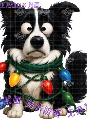 牧羊犬边牧可爱小狗图像贴画餐厅贴纸宠物车贴门贴墙上冰箱贴装饰