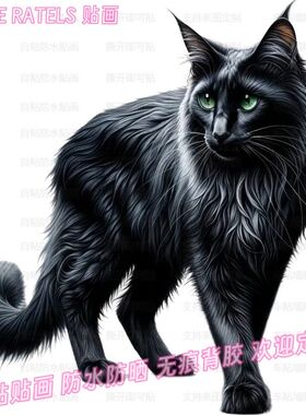 黑猫图案车贴门贴护宅自粘墙贴画