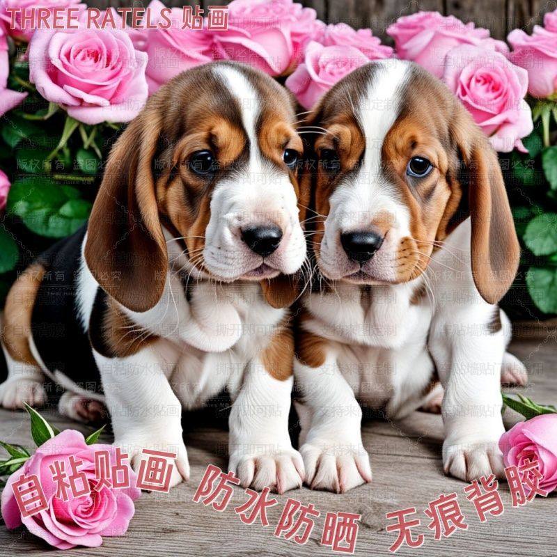 可爱比格犬金毛小狗自粘贴画门贴餐厅房间墙上装饰简约遮丑贴纸,家居饰品,软装墙贴,淘宝优惠券,粉丝福利购,淘宝优惠卷