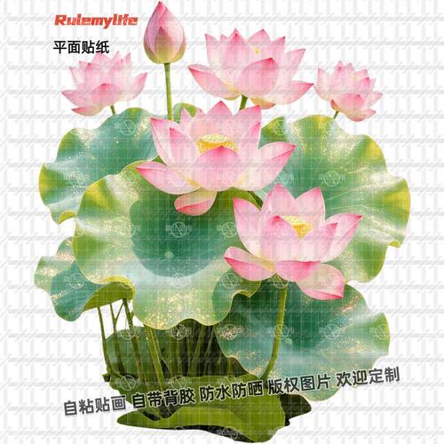 荷叶荷花好运连连莲花贴纸装饰画