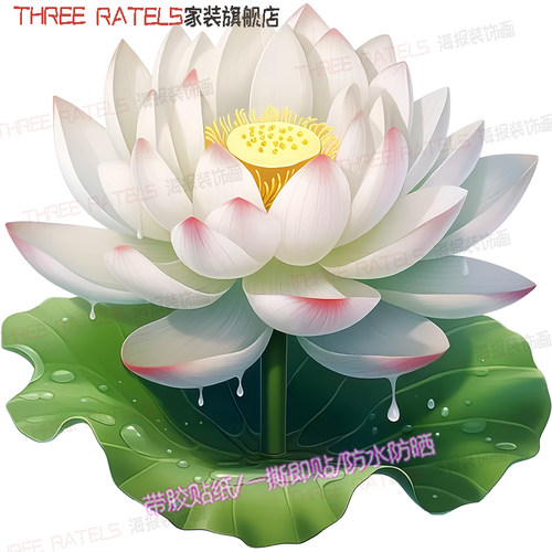 荷花莲花3d家居贴画镂空墙贴印花门窗瓷砖贴纸自贴冰箱车身装饰画