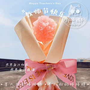教师节康乃馨花束礼盒糖果墨大叔手工棒棒糖波糖儿童食品零食