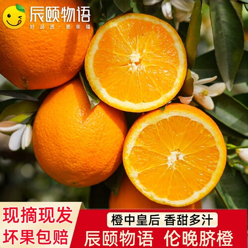 辰颐伦晚脐橙手剥甜橙子孕妇水果