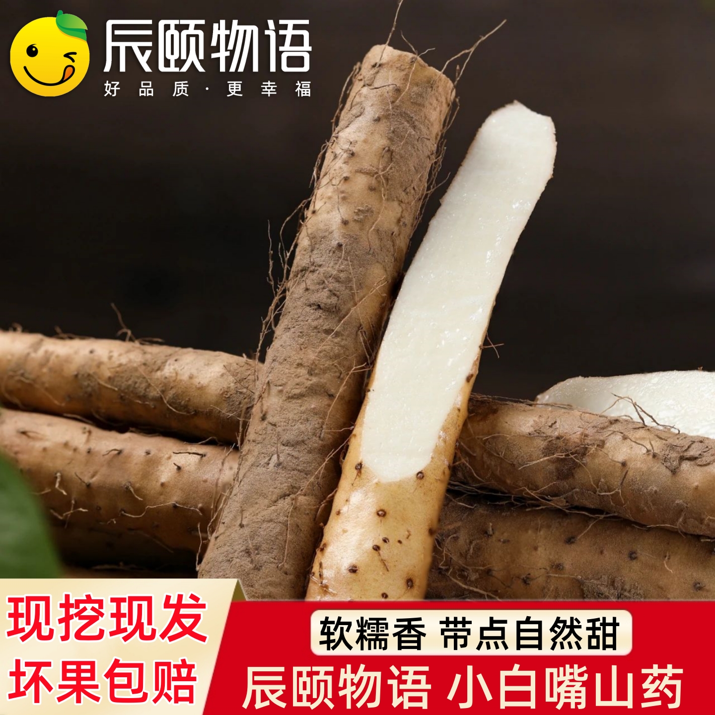 辰颐物语小白嘴山药怀山新鲜蔬菜铁杆淮山正宗铁棍山药粉糯香现挖