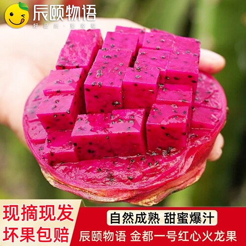 辰颐物语海南金都一号红心火龙果