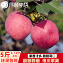 辰颐物语洛川苹果新鲜水果整箱正宗脆甜苹果平果红富士