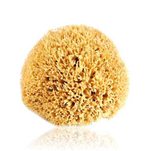 天然海绵婴儿洗澡海绵