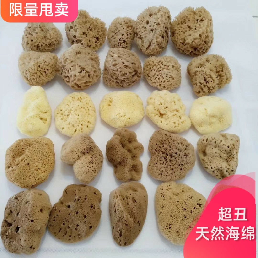 特价超丑丑海绵清仓甩卖希腊天然沐浴球蜂窝海藻绵洗泥膜洗脸洗澡