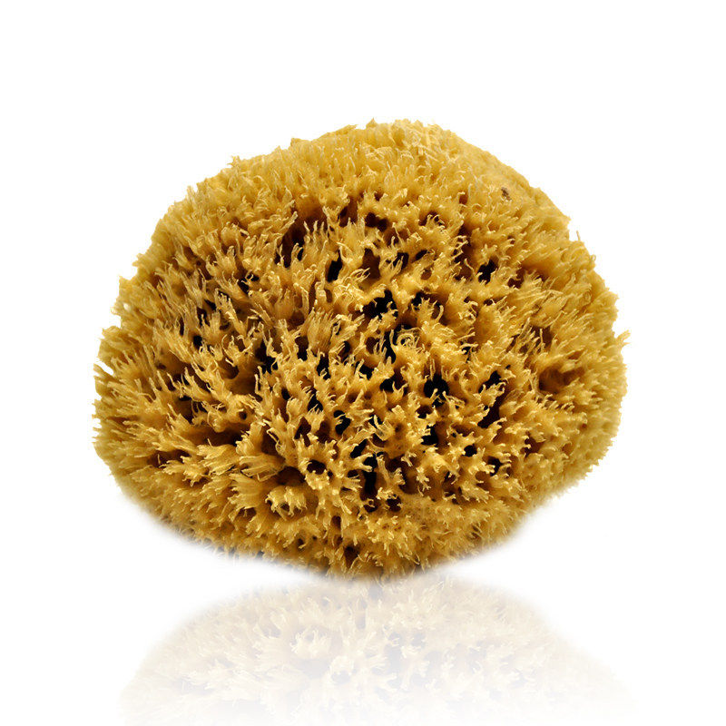 希腊天然海藻棉 自然原色蜂窝洗澡角质海绵5.5~6英寸地中海沐浴刷