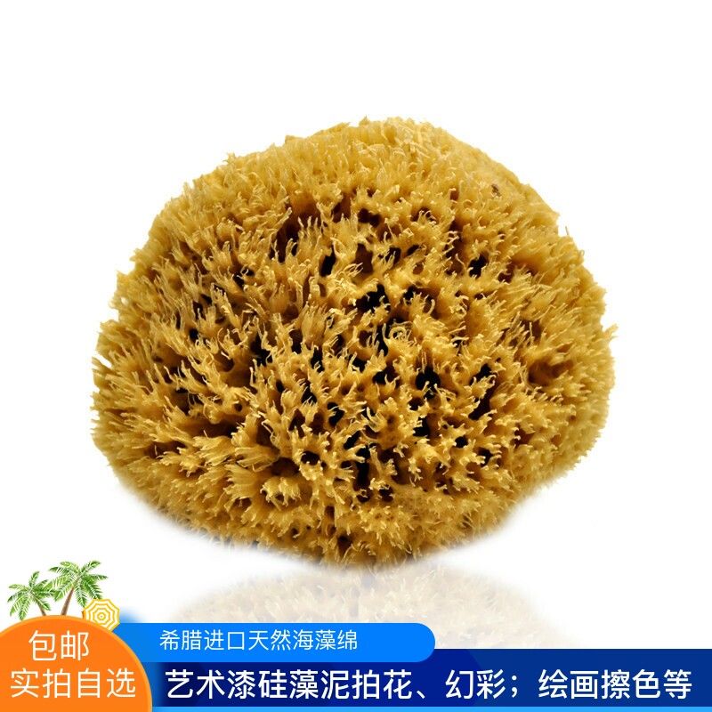 希腊天然蜂窝海藻绵工具艺术拍花硅藻泥擦色揉色幻彩粘金箔非浴刷