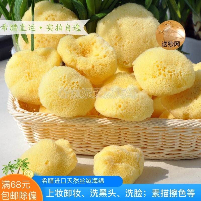 地中海天然丝海绵 脱色原色海藻棉3.0~3.5英寸小号洁面卸妆洗脸绵