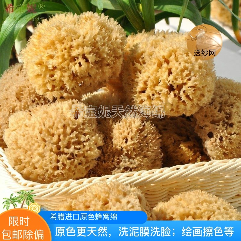 洗脸洁面扑洗泥膜 原色蜂窝绵地中海天然海绵海藻棉3.5~4.0英寸