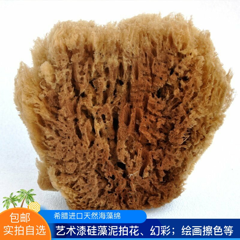 深海实心草海绵天然老海藻棉 拍花绘画艺术漆硅藻泥工具非浴刷