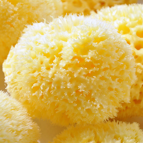 进口宝宝婴幼儿童洗澡绵4.5~5.0英寸 希腊天然蜂窝绵蜂巢海藻海绵 - 封面