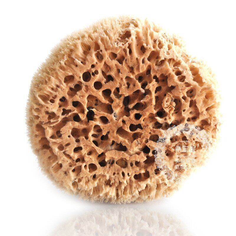 希腊纯天然海藻绵地中海蜂窝绵 装饰收藏画画硅藻泥艺术漆\非浴刷