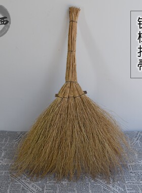 植物扫把工厂庭院铁树偏硬扫地砖