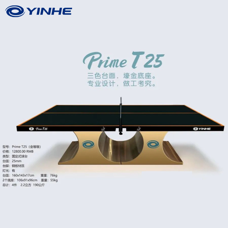 银河 YINHE 乒乓球桌专业标准球台 T25固定式 无痕贴面 乒乓球台