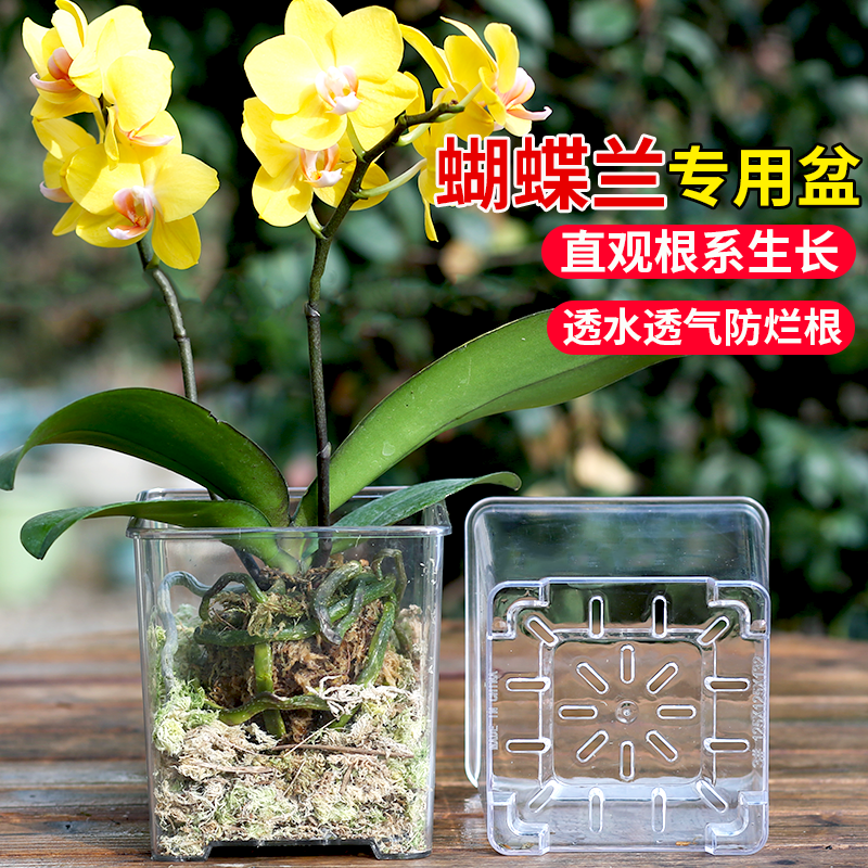亚克力透明方盆仿玻璃方形花盆塑料种植盆蝴蝶兰专用花盆家用套盆