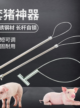 岩梦套猪器抓猪神器保定器