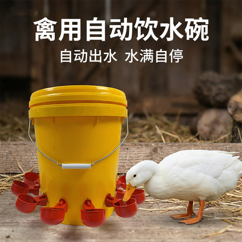 鸡用自动饮水器雏鸡饮水碗全自动新款水碗鸭鹅鸽子鹌鹑桶装喝水碗