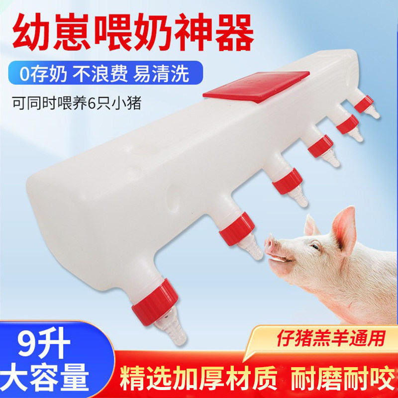 仔猪喂奶器小猪吃奶羔羊奶妈机猪用多奶嘴猪仔奶瓶喂羊羔兽用神器,畜牧/养殖物资,畜牧/养殖器械,淘宝优惠券,粉丝福利购,淘宝优惠卷