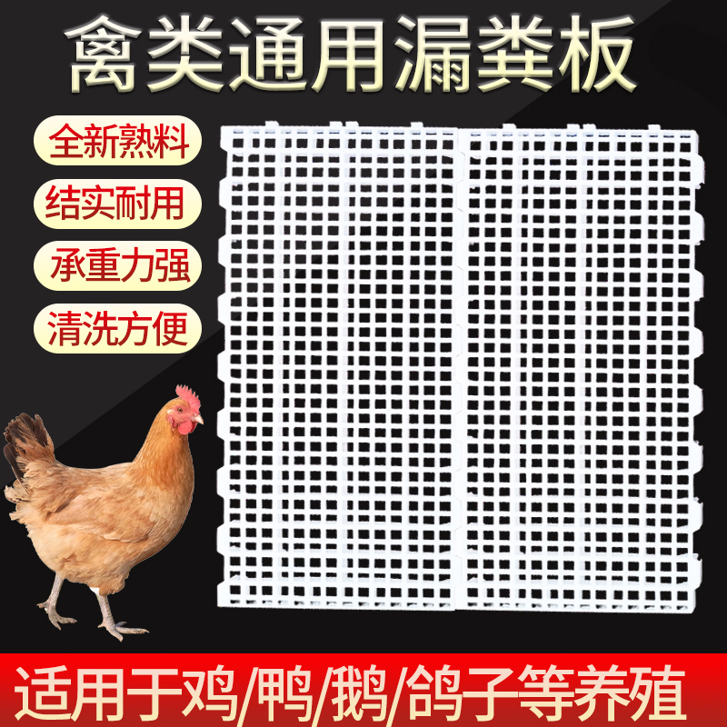 养鸡用鸡粪漏粪板鸡笼漏粪网养殖鸡鸭鹅脚垫鸡舍小鸡塑料漏屎地板