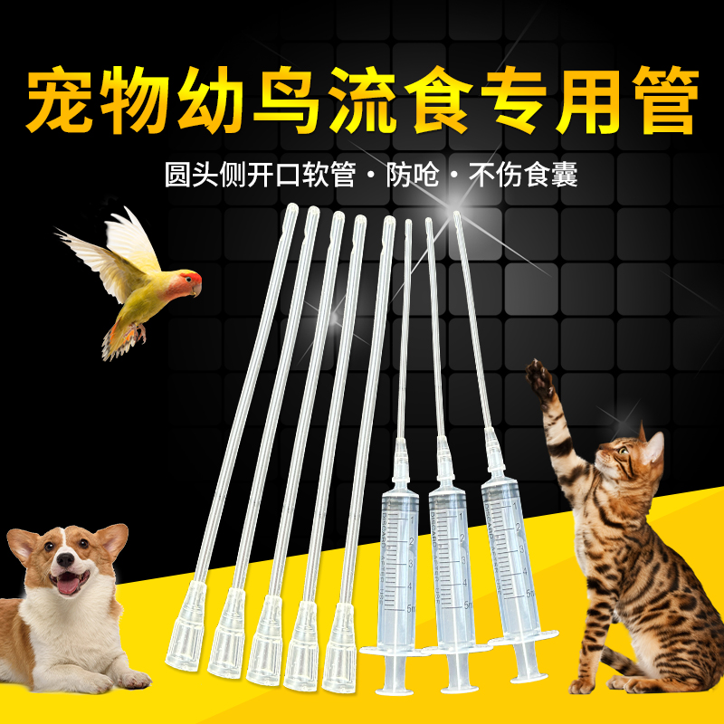 宠物胃管喂药器鸽子流食注射器幼鸟猫咪专用喂奶水灌药注射器软管