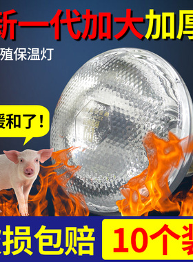 猪用保温灯鸡取暖灯泡猪场烤灯养殖场专用育雏仔猪加热小鸡保暖灯