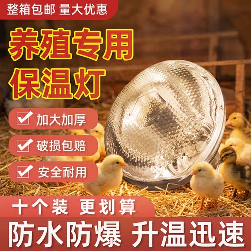 岩梦养殖场专用保温灯防水防爆